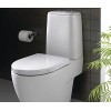 Как улучшить интерьер тесного туалета